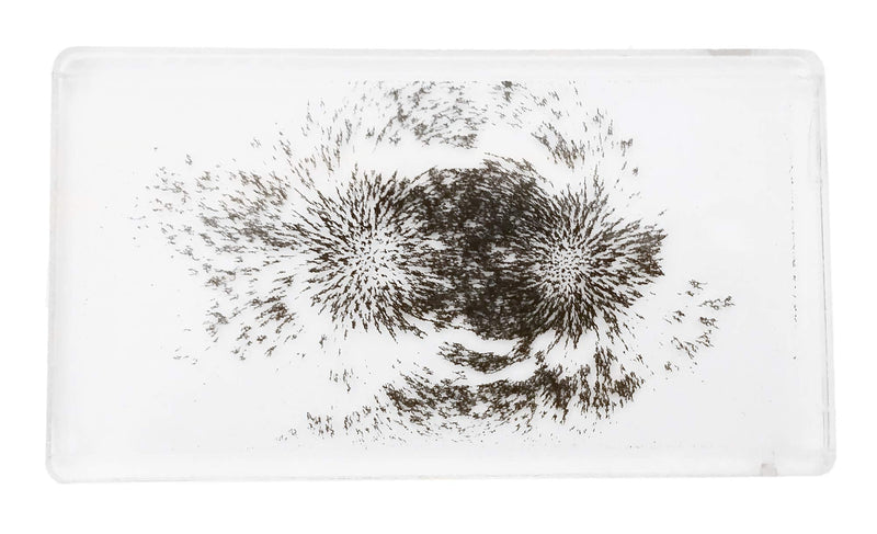 #MAGFLD Magnetic Field Demonstration - Explore Magnetism in Science Education. Size 6.4 x 3.6 x .45 inches.