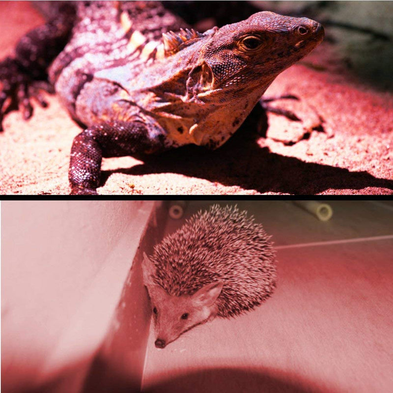 HQRP 9 LEDs Pocket Red Light Flashlight for Viewing Star Maps, Nighttime Activities - NewNest Australia