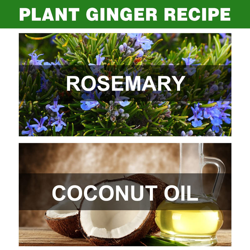 Rosemary Essential Oil, Rosemary Essential Oil, Rosemary Oil Hair Growth, Rosemary Oil 100% Natural Organic Essential Oil, Strong Hair Growth, More Hair Density, Hair Growth 2 X 30 Ml (60 Ml) - NewNest Australia
