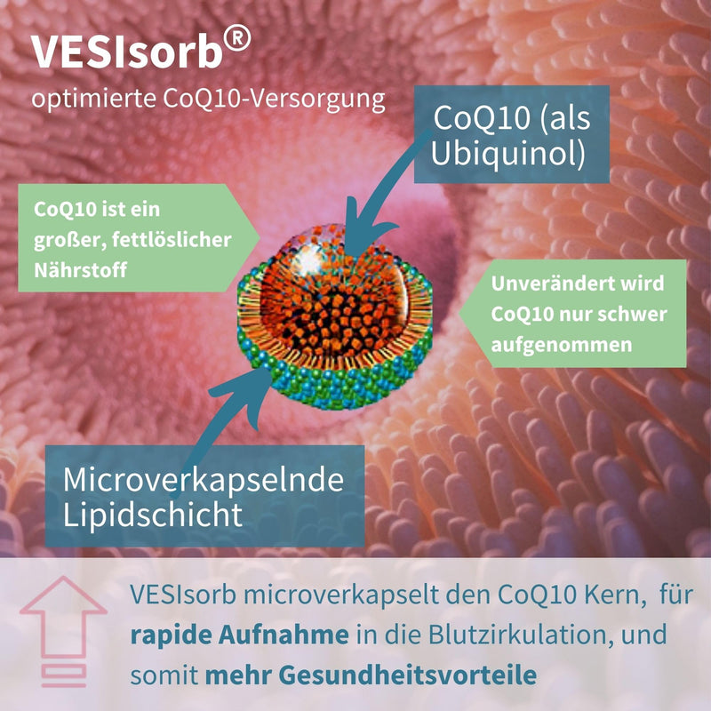 Vesisorb Ubiquinol 100mg, active form of Coenzyme Q10, bioavailable