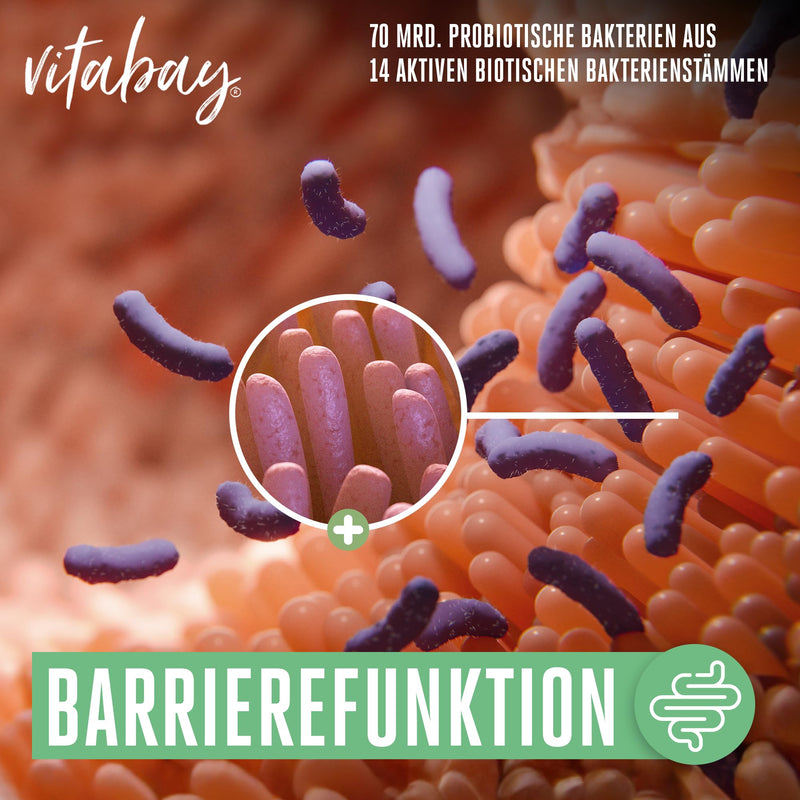 Vitabay Bifidyn 120 highdose VEGAN probiotic capsules 3 billion active probiotic