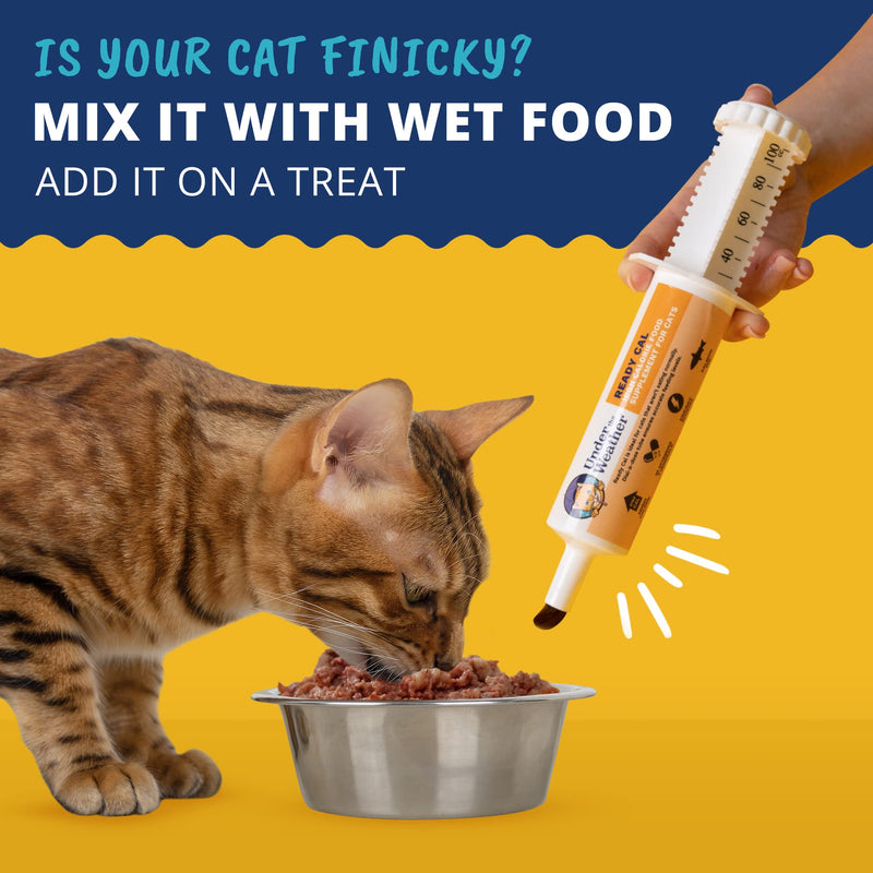 Under the Weather Pet | Ready Cal for Cats 100cc | High Calorie Nutritional Supplement for Weight Gain & Not Eating | 10 Vitamins, 7 Minerals, Omega Fatty Acids For Cats - Ready Cal 100cc - NewNest Australia