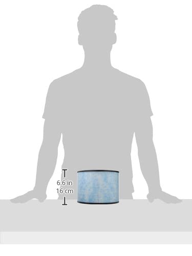 Instant HEPA Air Purifier Replacement Filter for Home Allergens & Pet Danders, Removes 99.9% of Dust, Smoke, & Pollen with Plasma Ion Technology, For AP 200 AP 200 Filter