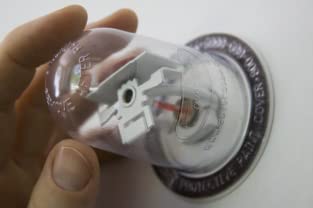 with Removable Foam Adhesive 100/Pack