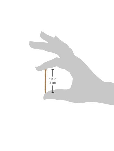 41802 Panel Nail, 1-Inch, Oak, Single Pack