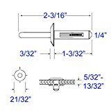 Boltman 1/4 Hole Dia. 21/32 Flange Nylon Expansion Rivet (50pkg)