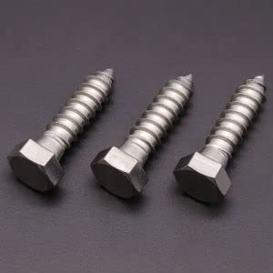 (10 PCS) 3/8 x 1-1/4" Stainless Steel Hex Lag Screws Bolts, 304 Stainless Steel Hexagon Head Lag Wood Screws, Full Thread, by RoyceMart 3/8 x 1-1/4" 10