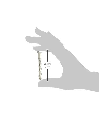 Hillman 832038 5/16 x 2-1/2-Inch Stainless Steel Hex Lag Screws, 25-Pack