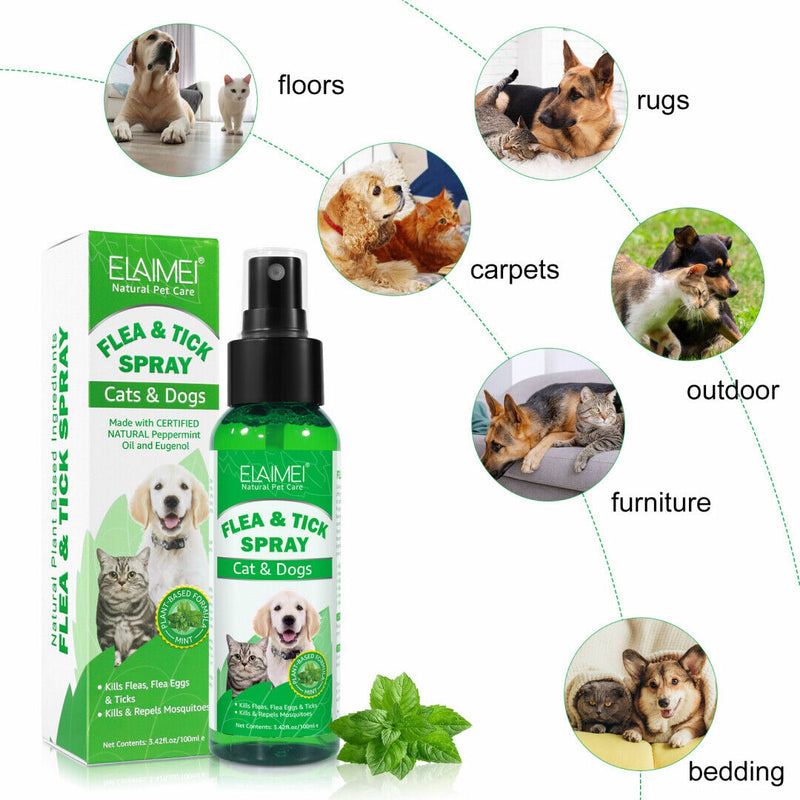 Flea & Tick Spray for Dogs & Cats - Natural Organic Lavender Essential Oils Pets Care Treatment Anty Fleas and Ticks Killer (100ml) 100ml Flea & Tick Spray - PawsPlanet Australia
