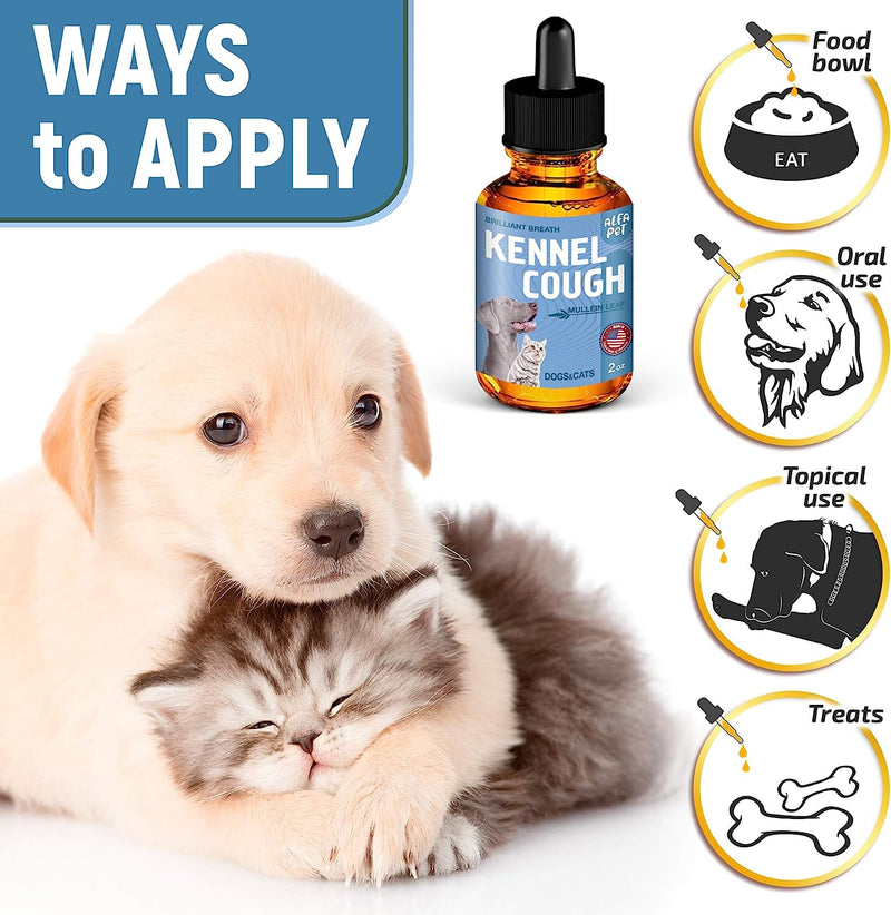 Kennel Cough Treatment for Dogs | Dog Cough Suppressant | Dog Cough | Dog Allergy Relief | Dog Itch Relief | Dog Allergy Support - PawsPlanet Australia