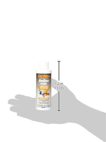 KORDON #33444 AmQuel Plus for Aquarium, 4-Ounce (Pack of 2) 4 Ounces (Pack of 2)