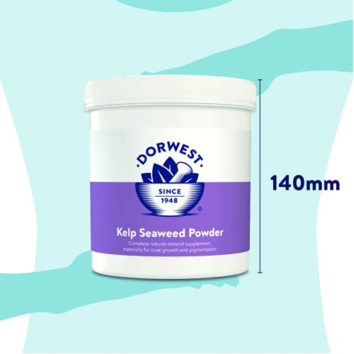 DORWEST HERBS Kelp Seaweed Powder for Dogs and Cats 500g - PawsPlanet Australia