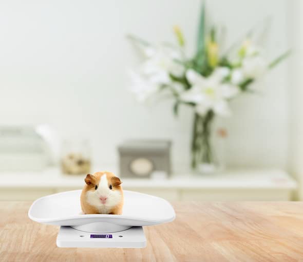 Digital Pet Scale, LCD Animal Scale, 0-22Pound High Accuracy Electronic Weighing Scale, Multifunctional Electronic Weighing Scale for Small Animals Hamster Birds Kittens (No Battery Included) - PawsPlanet Australia