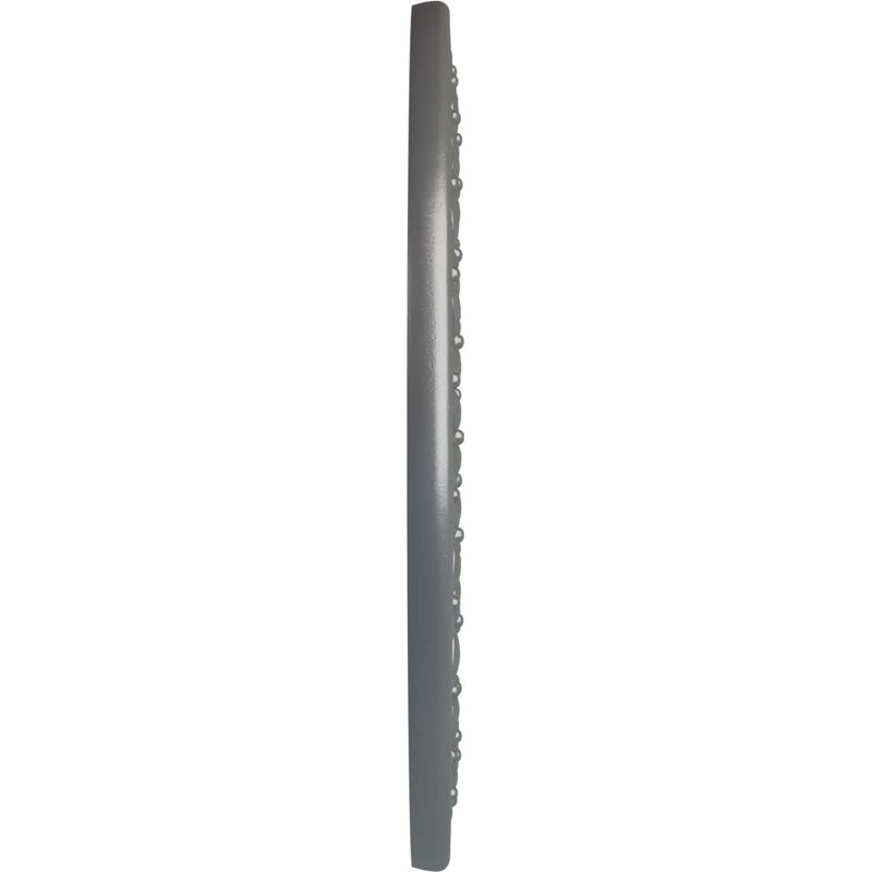 Ekena Millwork CM22RBSLS 22-1/4 x 4-3/4 x 1-1/4 Robin Ceiling Medallion, Silver Silver (Metallic Series)