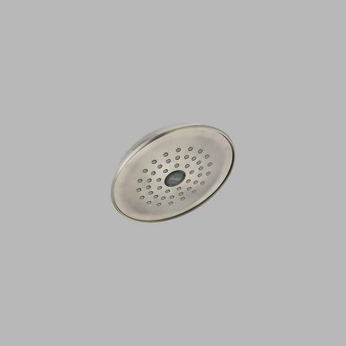 DELTA FAUCET Rubber Limited RP42578SS Single-Setting Showerhead, Stainless