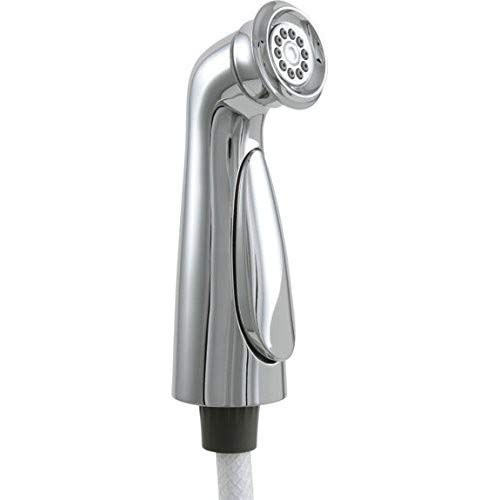 Delta Faucet RP72751 Cassidy, Spray and Hose Assembly, Chrome