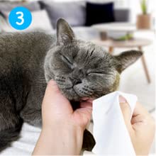 Mooncat Cats & Kittens Acne Cleanse Lotion | First Cuztomized Cat Acne Treatment | Pionner in Cat Care Stuff | Concentrated Solution For Cat Chin & Tail | Best Prevention for Cats Acne -5 fl oz(150ml) - PawsPlanet Australia
