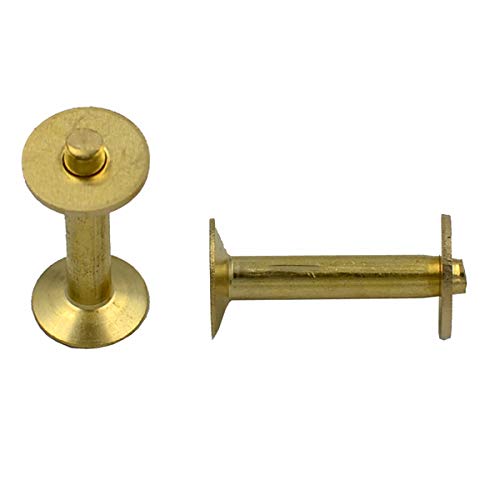 DGOL 50 Sets Solid Brass #12 Size 12 Copper Burrs Rivets Washers 3/4 inch (19mm) Long Size 12 3/4" Brass