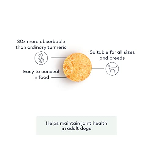FutureYou Cambridge Curcupet-K9 Turmeric for Dogs - 56 Tablets - Highly Absorbable Joint Health Supplement with Patented Curcumin Formulation - Developed, UK - PawsPlanet Australia