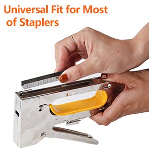 Heavy Duty T50 Staples and 18GA Brad Nails, 2400-Count 6 Sizes Includes: 5/16", 3/8", 1/2", 9/16" T50 Staples and 3/8", 1/2" Brad Nails Assorted, Galvanized Assembly 2400