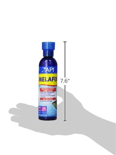 API MELAFIX Freshwater Fish Bacterial Infection Remedy 8-Ounce Bottle