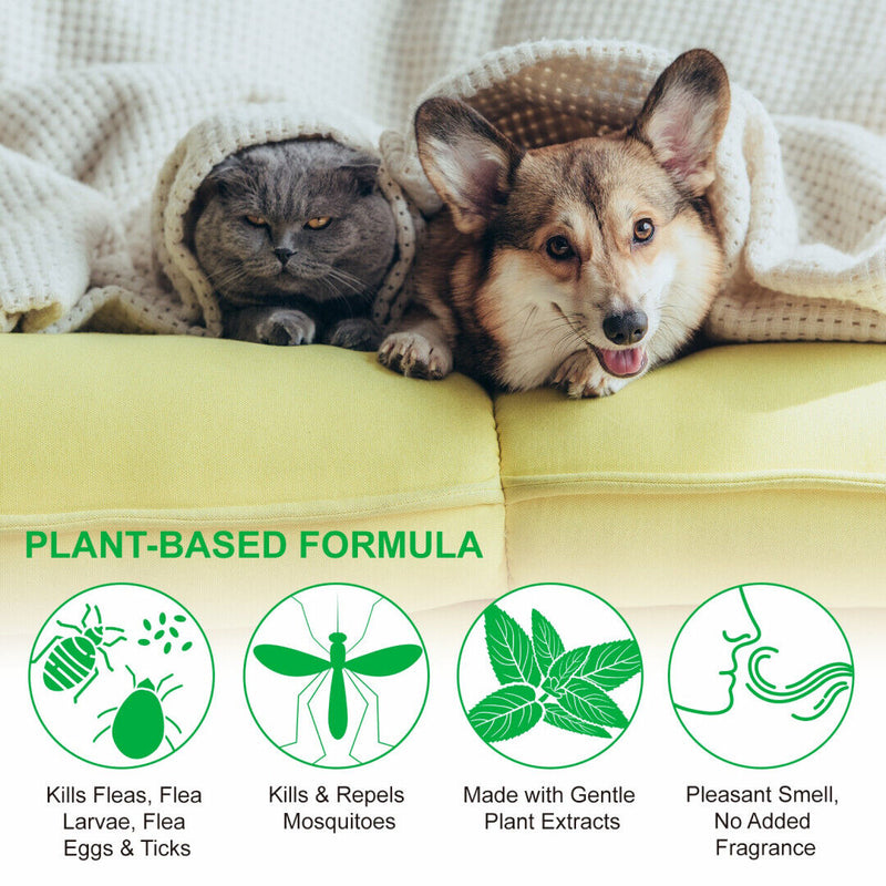 Flea & Tick Spray for Dogs & Cats - Natural Organic Lavender Essential Oils Pets Care Treatment Anty Fleas and Ticks Killer (100ml) 100ml Flea & Tick Spray - PawsPlanet Australia