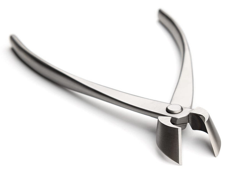 Bonsai Straight Edge Cutter Professional Grade Branch Cutter Alloy Steel Bonsai Tools Equip With Tool Bag (MT-SE-205 branch cutter gift-packaging) MT-SE-205