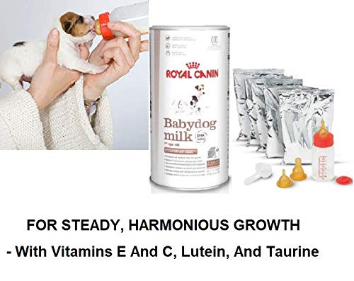 Substitute Baby Dog Milk 400g, A Complete And Balanced Milk For Nursing Puppies - PawsPlanet Australia
