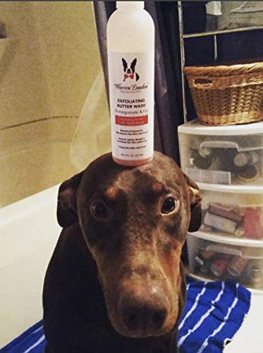 Warren London Exfoliating Butter Wash Dog Shampoo- Conditions & Scrubs Away Dandruff Made USA- Milk & Honey 8oz 8 oz - PawsPlanet Australia