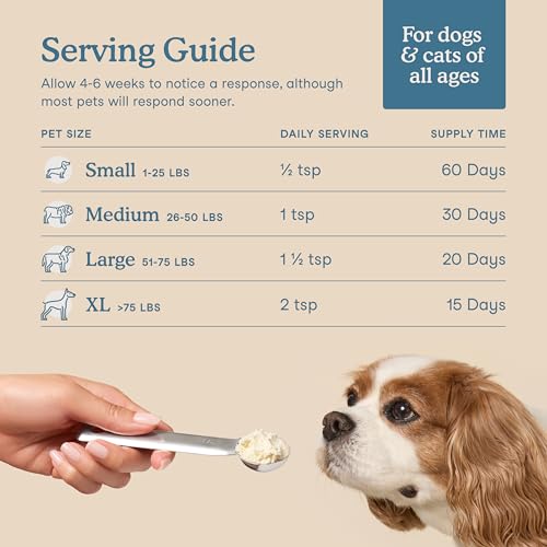 Fera Pets Stiff Joints & Mobility Support for Dogs – Collagen + Hip & Joint Chews for Flexibility, Comfort & Active Movement