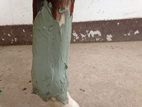 Poudre Armoricaine - The original French Horse Poultice - Cuticura Talcum Powder Clay & Minerals (Algae) - Horse Bucket - Support your Horses Health & Mobility - Equine products - 1500g ; 52.79fl oz - PawsPlanet Australia