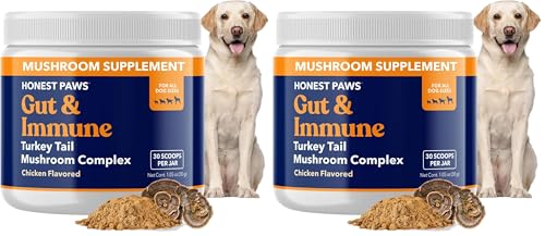 Honest Paws Turkey Tail Mushroom for Dogs - Digestive and Immune Support - Shiitake, Reishi, Maitake Mushroom Supplement Powder for Dogs - No Filler, No Additives - (30 Scoops) (Pack of 2) 30 Scoops (Pack of 2)