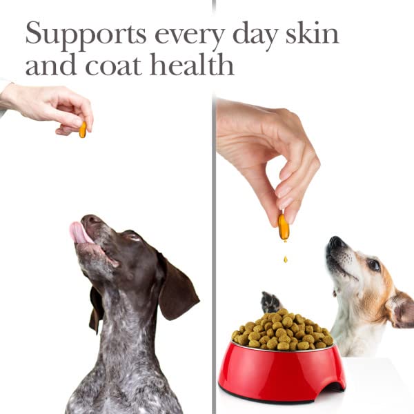 Nutri-Vet Fish Oil Supplements for Dogs | Skin and Coat Omega 3 Supplement | Dog Dry Skin & Dog Shedding Support | 100 Count Softgels - PawsPlanet Australia
