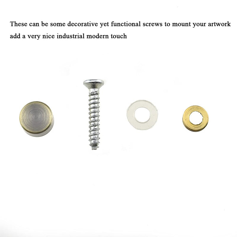 Hahiyo 10mm Diameter Mirror Screws Brushed Copper Material Solid Easy Install Brass Washer Decorative Caps Fasteners Nails Bronze 20 Pairs for Bathroom Mirrors Panels Kitchen Ceiling Arts Crafts 10mm-20sets-Bronze