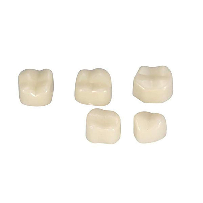 60Pcs Teeth Crown, Temporary Resistable Crown of Teeth with Different Sizes Oral Care Posterior Crown