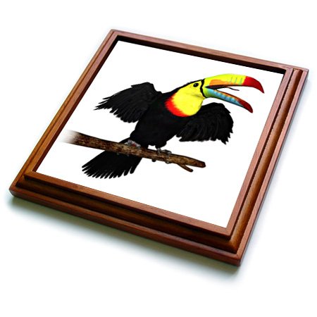 3dRose Keel-Bill Toucan Trivet with Ceramic Tile, 8 by 8", Brown