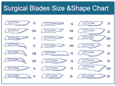 Disposable Surgical Scalpel Blades Sterile High Grade Carbon Steel 2.1% 10xx Individually Foil Wrapped by P&P MEDICAL SURGICAL Size 10A Box of 100