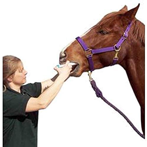 Durvet Duramectin Equine Wormer Paste - 3 Tubes