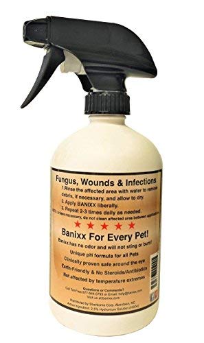 Banixx Horse and Pet Care 16-Ounce - PawsPlanet Australia