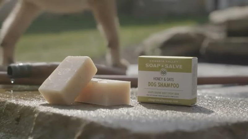 Certified Organic Dog Shampoo and Conditioner – Dog Shampoo Itchy Skin Relief and Puppy Essentials - Natural Handmade Honey & Oats, 3.8 oz Bar Soap - Chagrin Valley Soap & Salve - PawsPlanet Australia