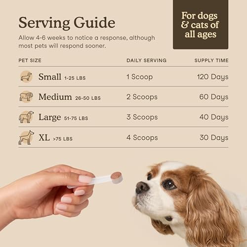 Fera Pets Gut + Immune Support Bundle - Probiotics Powder (60 School) & Mushroom Powder (120 Scoops) for Dogs & Cats