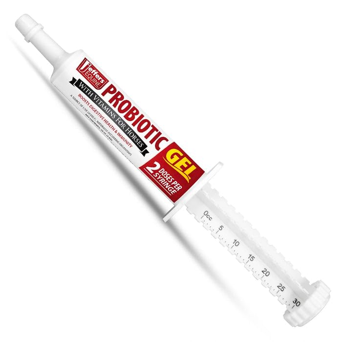 Jeffers Equine Probiotic Oral Gel for Horses, 30 cc Syringe – Supports Healthy Gut, Natural Appetite & Digestion, Horse Supplement w/Prebiotics, Live Microbials (30M CFU), Vitamins A B E, USA Made 1 Pack