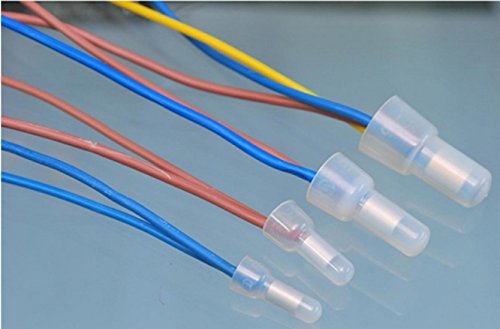 Rextin 1000pcs CE2 Closed End Wire Crimp Connectors Protective Wire Crimp Cap Wire connectors Terminals CE2 (CE2)