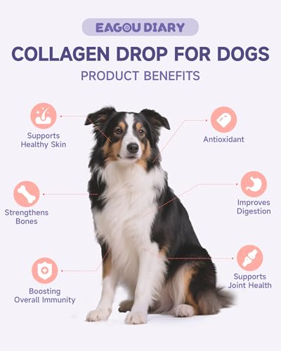 Eagou Diary Mushroom for Dogs - with Turkey Tail Mushroom for Dog, Lion’s Mane, Shiitake - Collagen for Dogs with Glucosamine, MSM - Hip & Joint Support