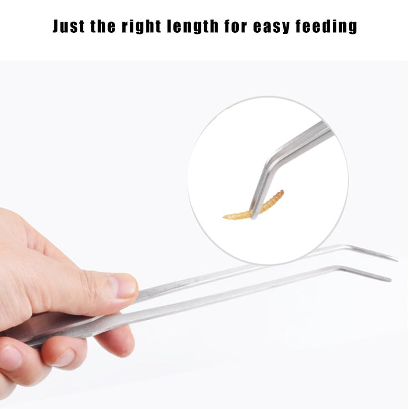 3Pcs Reptile Metal Feeding Tongs, Snake Tank Long Tweezers Fit Bearded Dragon Tarantula Spider Gecko Lizard Frog Turtle Ball Python Aquarium Terrarium - PawsPlanet Australia
