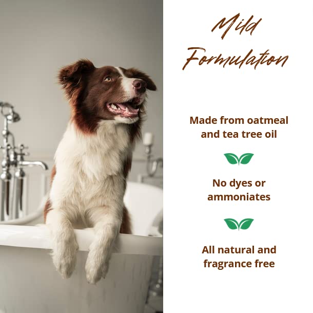 Allersearch Pet+ Oatmeal Anti-Allergen Dog Shampoo 16 oz - PawsPlanet Australia