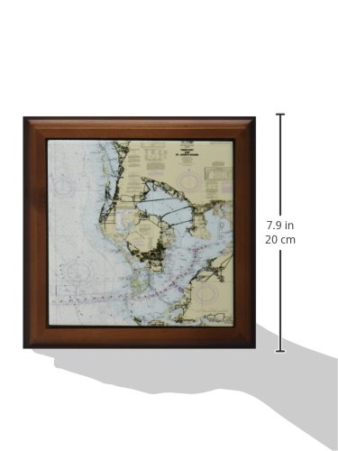 3dRose Print of Nautical Map of Tampa Bay Trivet with Ceramic Tile, 8" by 8", Brown