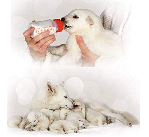 Substitute Baby Dog Milk 400g, A Complete And Balanced Milk For Nursing Puppies - PawsPlanet Australia