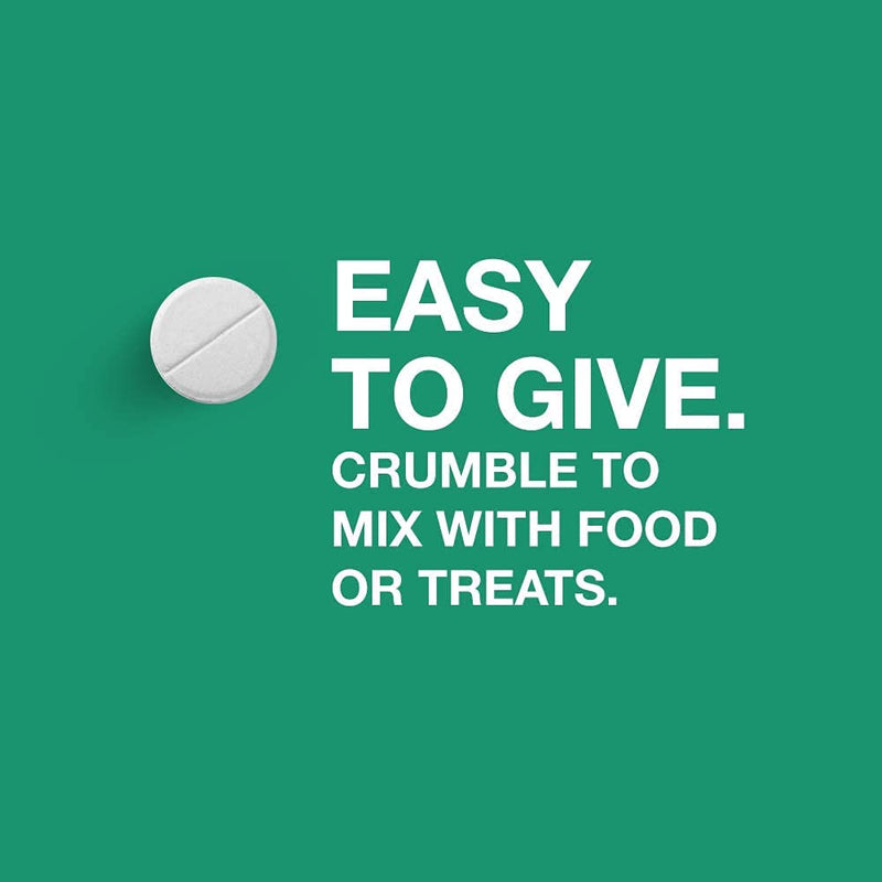 Bayer Expert Care Tapeworm Dewormer for Cats and Kittens - PawsPlanet Australia