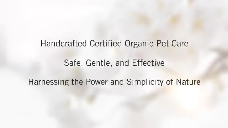 Certified Organic Dog Shampoo and Conditioner – Dog Shampoo Itchy Skin Relief and Puppy Essentials - Natural Handmade Honey & Oats, 3.8 oz Bar Soap - Chagrin Valley Soap & Salve - PawsPlanet Australia